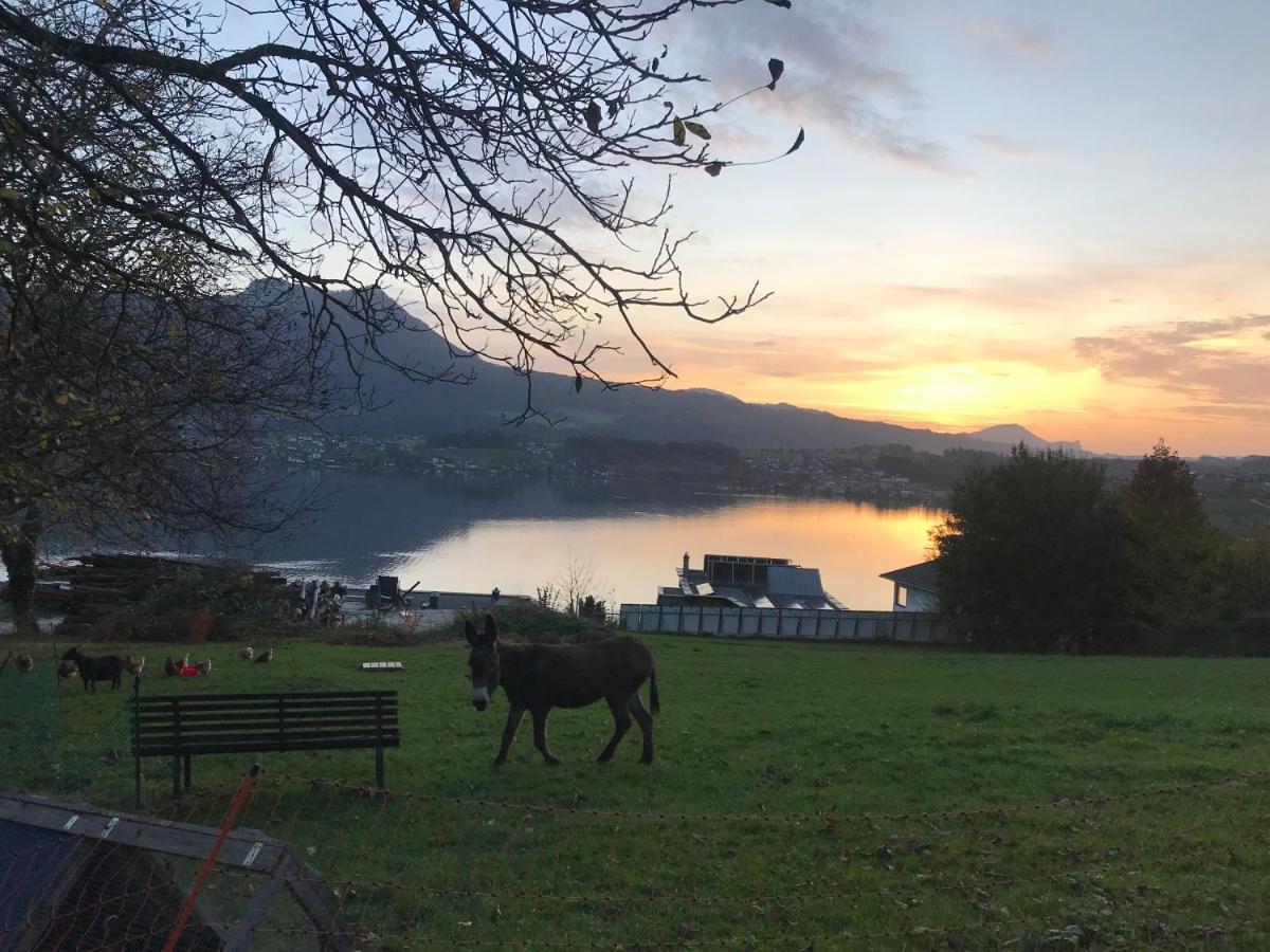 Ferienwohnung Lechnerhof Tiefgraben Exteriér fotografie